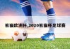 熊猫欧洲杯,2020熊猫杯足球赛