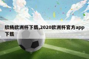 欣杨欧洲杯下载,2020欧洲杯官方app下载